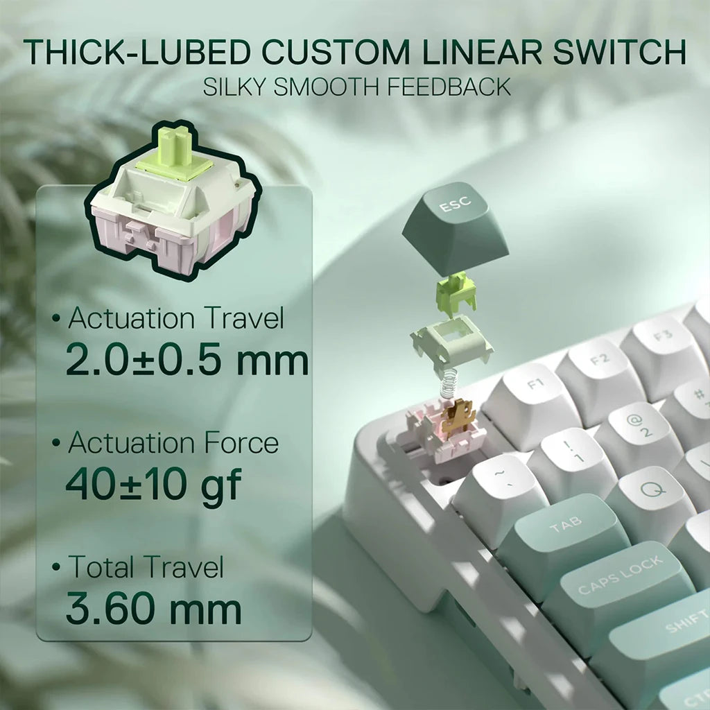 Keyboard switch with specifications on a blurred keyboard background
