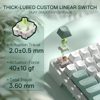 Keyboard switch with specifications on a blurred keyboard background